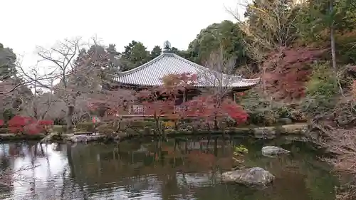 醍醐寺の庭園