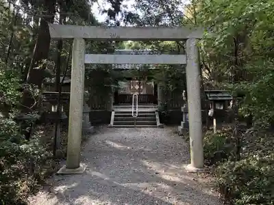 意非多神社の狛犬