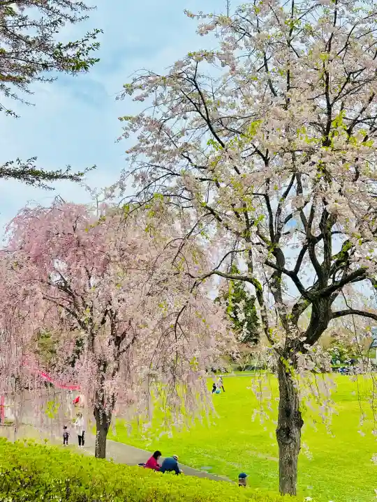 糠部神社の{uncategorized: "未分類", other: "その他", undefined: "問題あり", building: "その他建物", grave: "お墓", sacred_gate: "鳥居", guardian: "狛犬", statue: "像", buddha: "仏像", history: "歴史", nature: "自然", garden: "庭園", animal: "動物", pagoda: "塔", temizu: "手水舎", mountain_gate: "山門・神門", sanctuary: "本殿・本堂", subordinate: "末社・摂社", art: "芸術", scenery: "景色", jizo: "地蔵", ema: "絵馬", goshuin: "御朱印", omikuji: "おみくじ", items: "授与品その他", amulet: "お守り", goshuincho: "御朱印帳", eats: "食事", festival: "お祭り", votive_dance: "神楽", shichigosan: "七五三参", wedding: "結婚式", experience: "体験その他", initially: "初詣", around: "周辺", anti_infection: "感染症対策"}