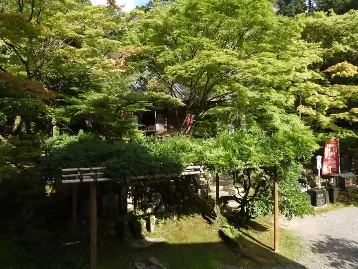 今熊野観音寺(京都府)