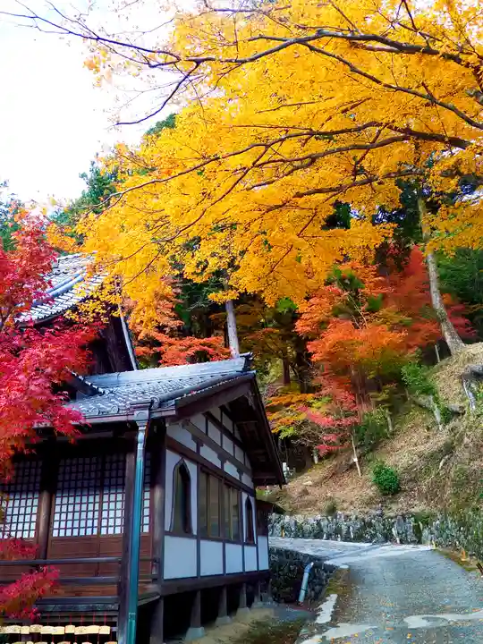 温泉寺(岐阜県)