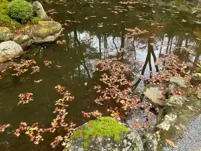 三千院門跡(京都府)