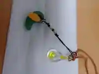 香椎宮(福岡県)