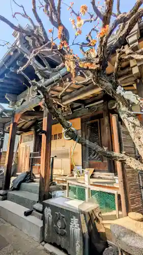 躰仙院の本殿・本堂