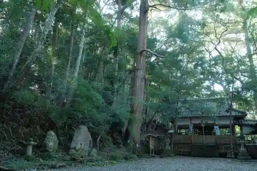 闘鶏神社の周辺