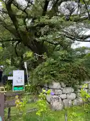 久安寺(大阪府)