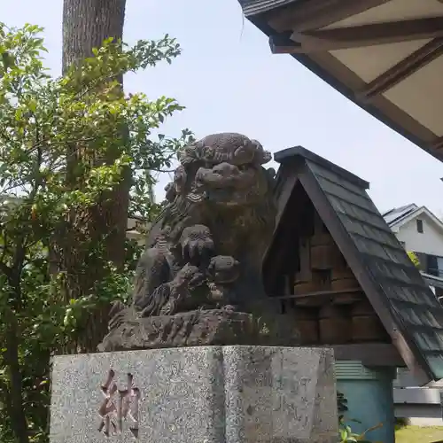 白髭神社の狛犬