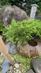 須賀神社(東京都)