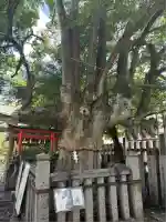 満足稲荷神社(京都府)