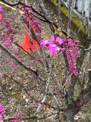 手力雄神社の自然