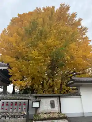 普門院(埼玉県)