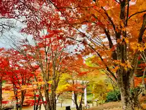 土津神社|こどもと出世の神さまの景色(2020年11月07日(土) 08時50分51秒投稿)