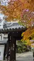 興聖寺(京都府)