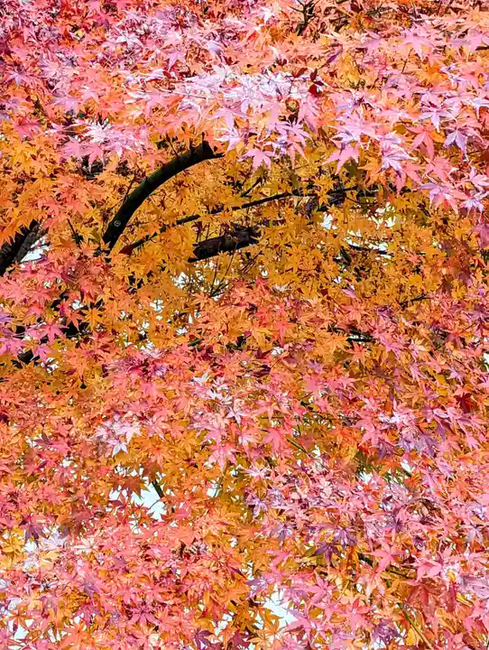 根上神社の自然