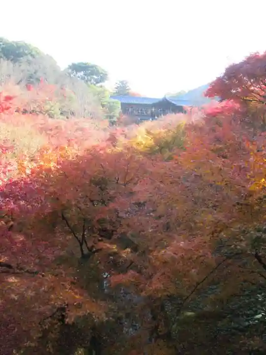 東福禅寺(東福寺)(京都府)
