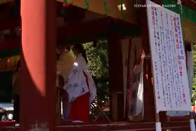 鶴岡八幡宮(神奈川県)
