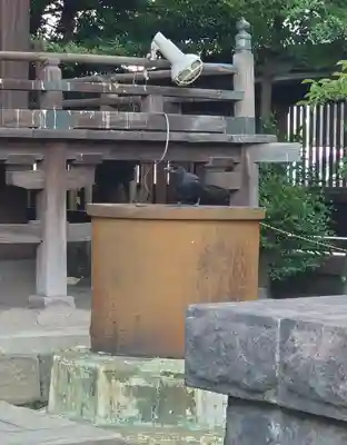 荏原神社(東京都)
