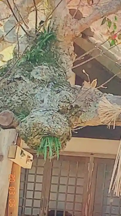 増光寺(静岡県)