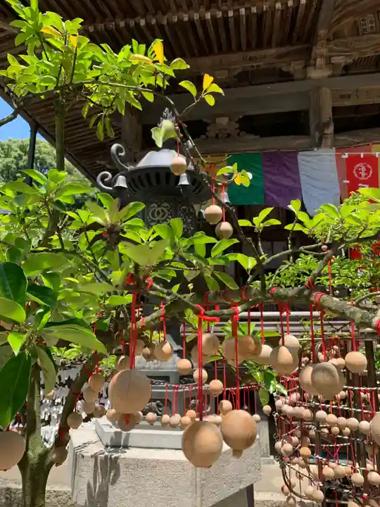 岡寺(龍蓋寺)(奈良県)