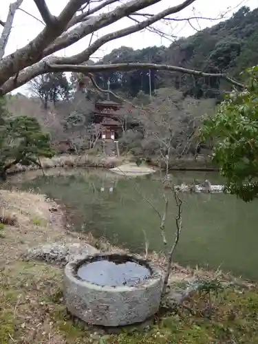 浄瑠璃寺(京都府)
