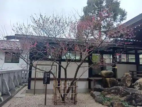 加納天満宮(岐阜県)