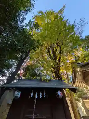 神明氷川神社(東京都)