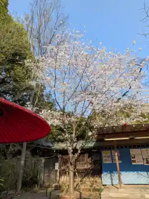 大宮八幡宮(東京都)