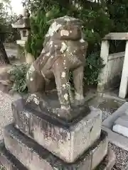 荒井神社の狛犬