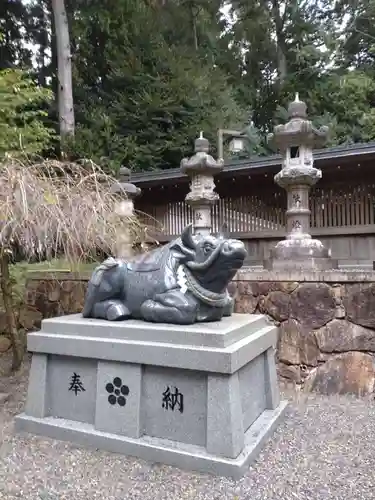 瀧樹神社の狛犬