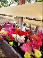 鳩森八幡神社の手水舎