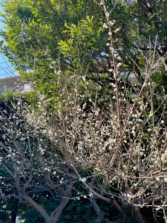 國領神社の{uncategorized: "未分類", other: "その他", undefined: "問題あり", building: "その他建物", grave: "お墓", sacred_gate: "鳥居", guardian: "狛犬", statue: "像", buddha: "仏像", history: "歴史", nature: "自然", garden: "庭園", animal: "動物", pagoda: "塔", temizu: "手水舎", mountain_gate: "山門・神門", sanctuary: "本殿・本堂", subordinate: "末社・摂社", art: "芸術", scenery: "景色", jizo: "地蔵", ema: "絵馬", goshuin: "御朱印", omikuji: "おみくじ", items: "授与品その他", amulet: "お守り", goshuincho: "御朱印帳", eats: "食事", festival: "お祭り", votive_dance: "神楽", shichigosan: "七五三参", wedding: "結婚式", experience: "体験その他", initially: "初詣", around: "周辺", anti_infection: "感染症対策"}