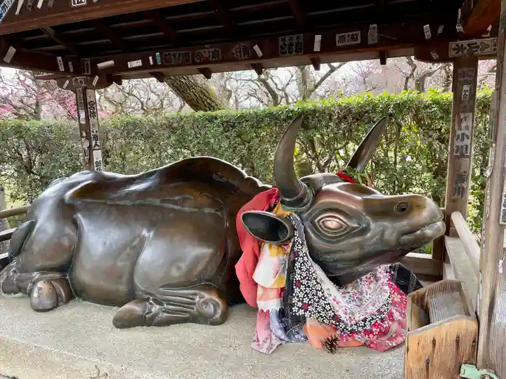 北野天満宮(京都府)