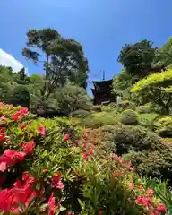 国宝 大法寺の庭園