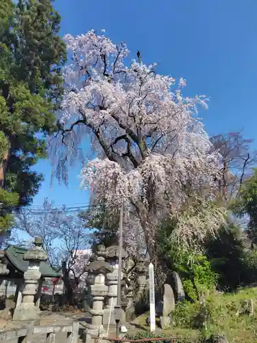 神炊館神社 ⁂奥州須賀川総鎮守⁂(福島県)