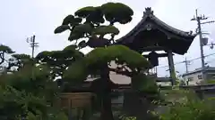 西法寺(大阪府)