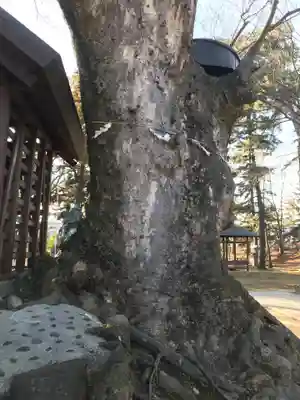 川中島古戦場八幡社のその他建物