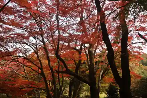 三春大神宮の自然