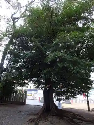 忠岡神社(大阪府)