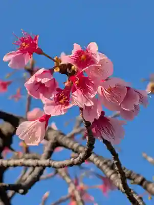 潮田神社(神奈川県)