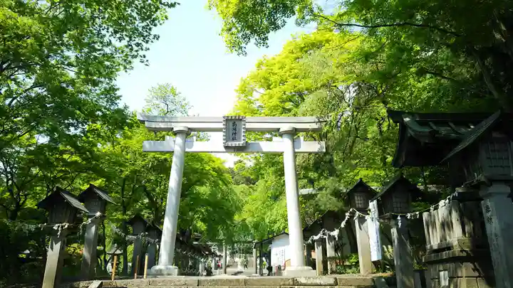 南湖神社の鳥居