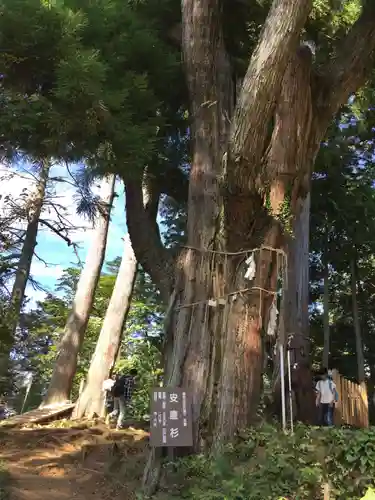 武蔵御嶽神社の自然