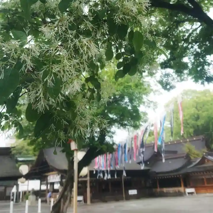 尾張大國霊神社(国府宮)のその他建物
