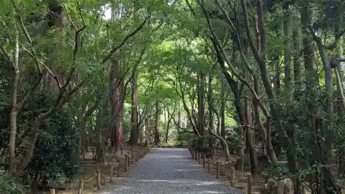 龍安寺(京都府)