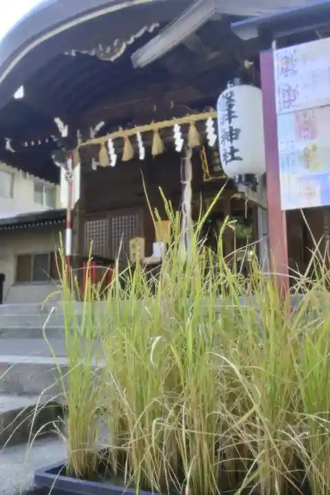 磐井神社の本殿・本堂