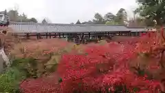 東福禅寺（東福寺）の自然