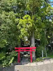 須山浅間神社(静岡県)