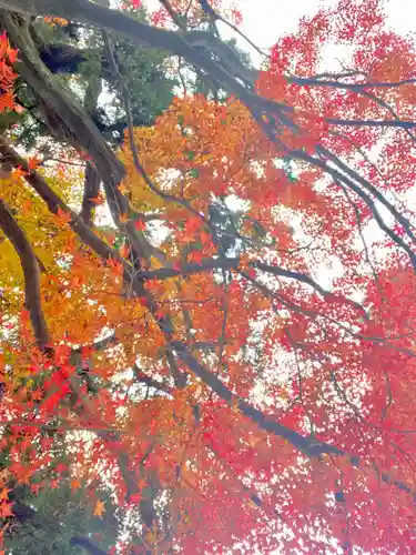 月橋院(京都府)