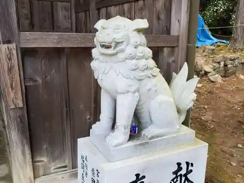 衣笠神社の狛犬