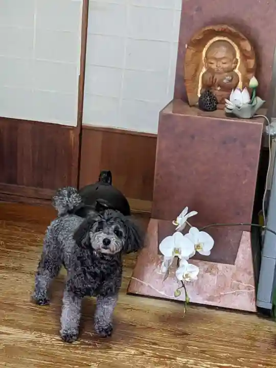 千蔵寺(神奈川県)