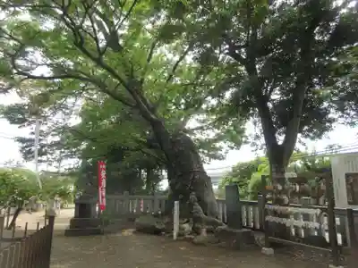 比比多神社（子易明神）(神奈川県)